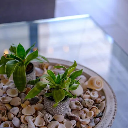 Endless Summer House בית נופש פריווליה