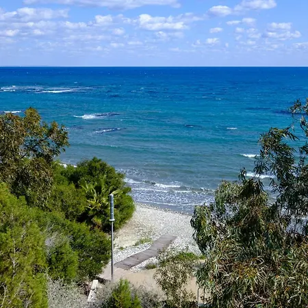 Endless Summer House