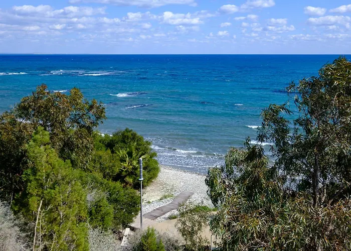 Endless Summer House